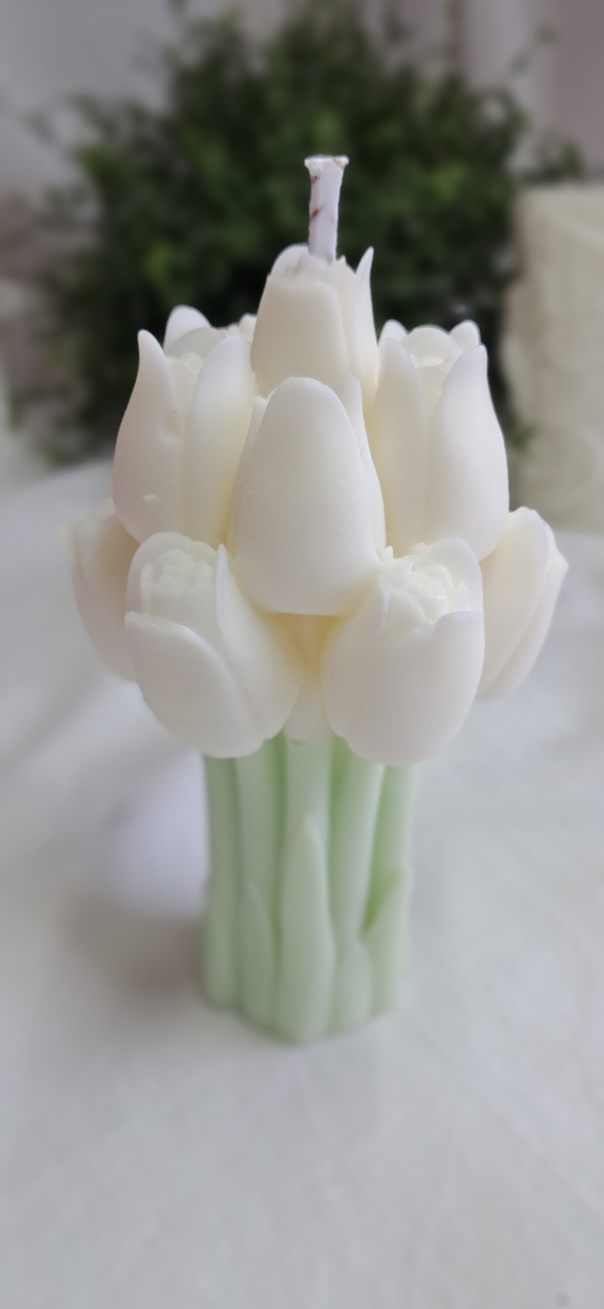 Vela RAMO TULIPANES - 3