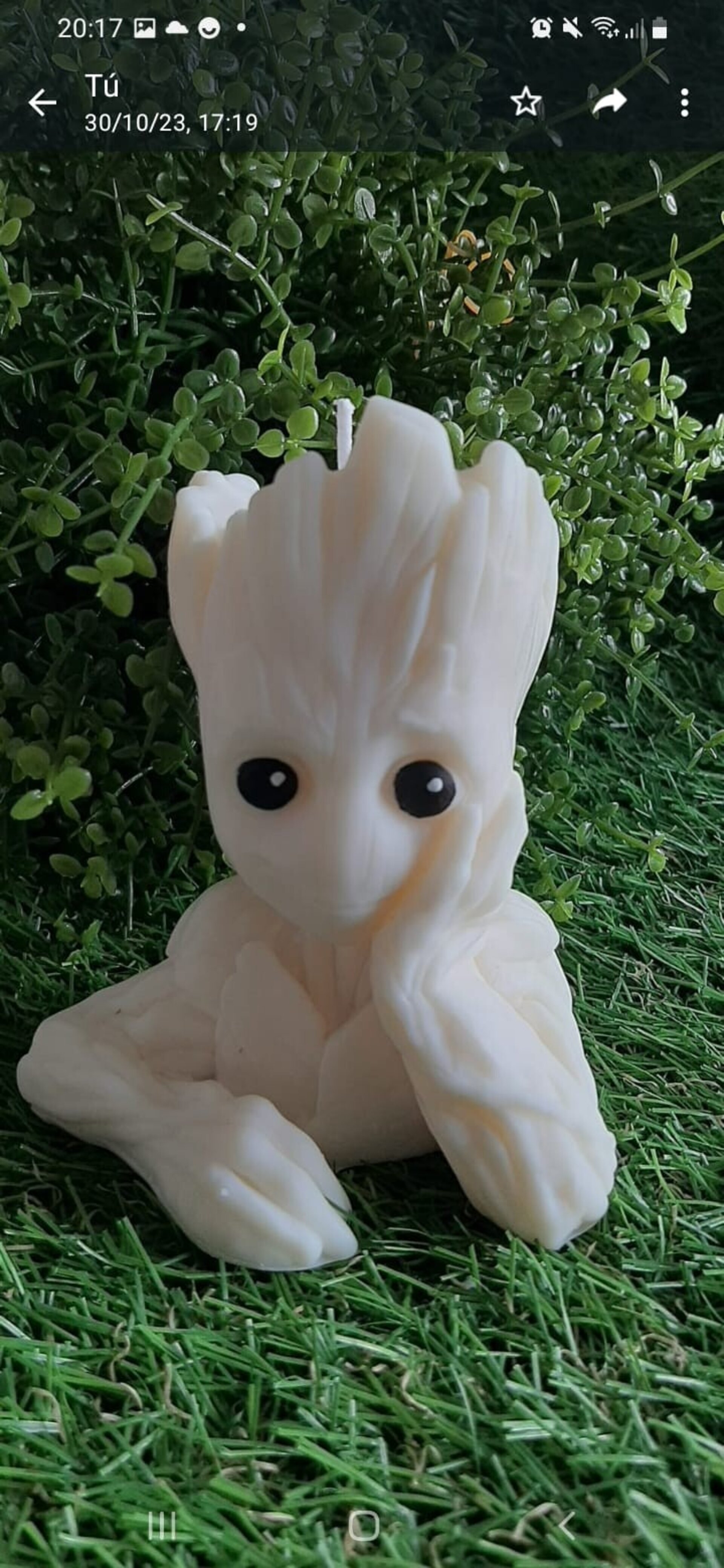 Vela Groot - 2