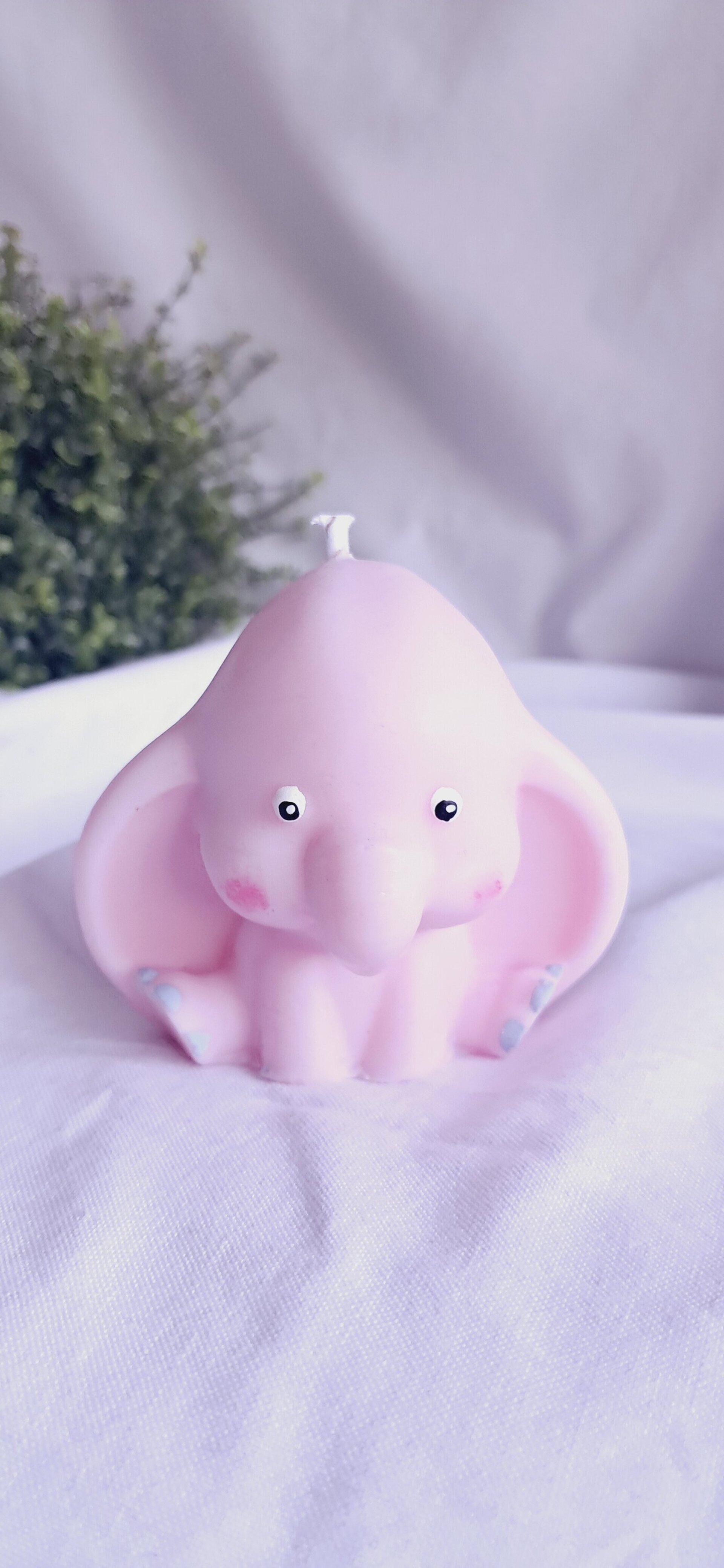 Vela ELEFANTE - 2