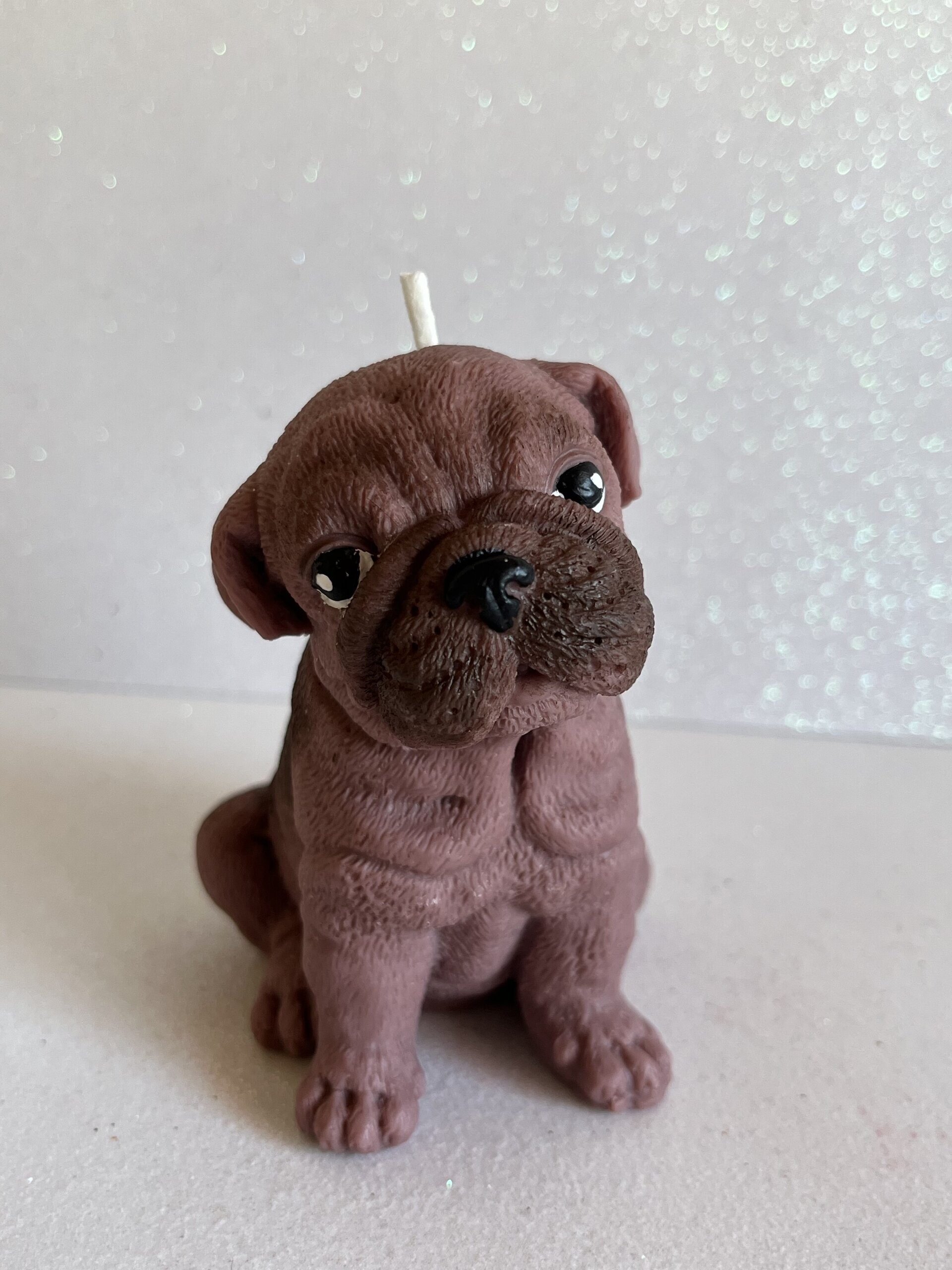 Vela perro Bulldog - 4