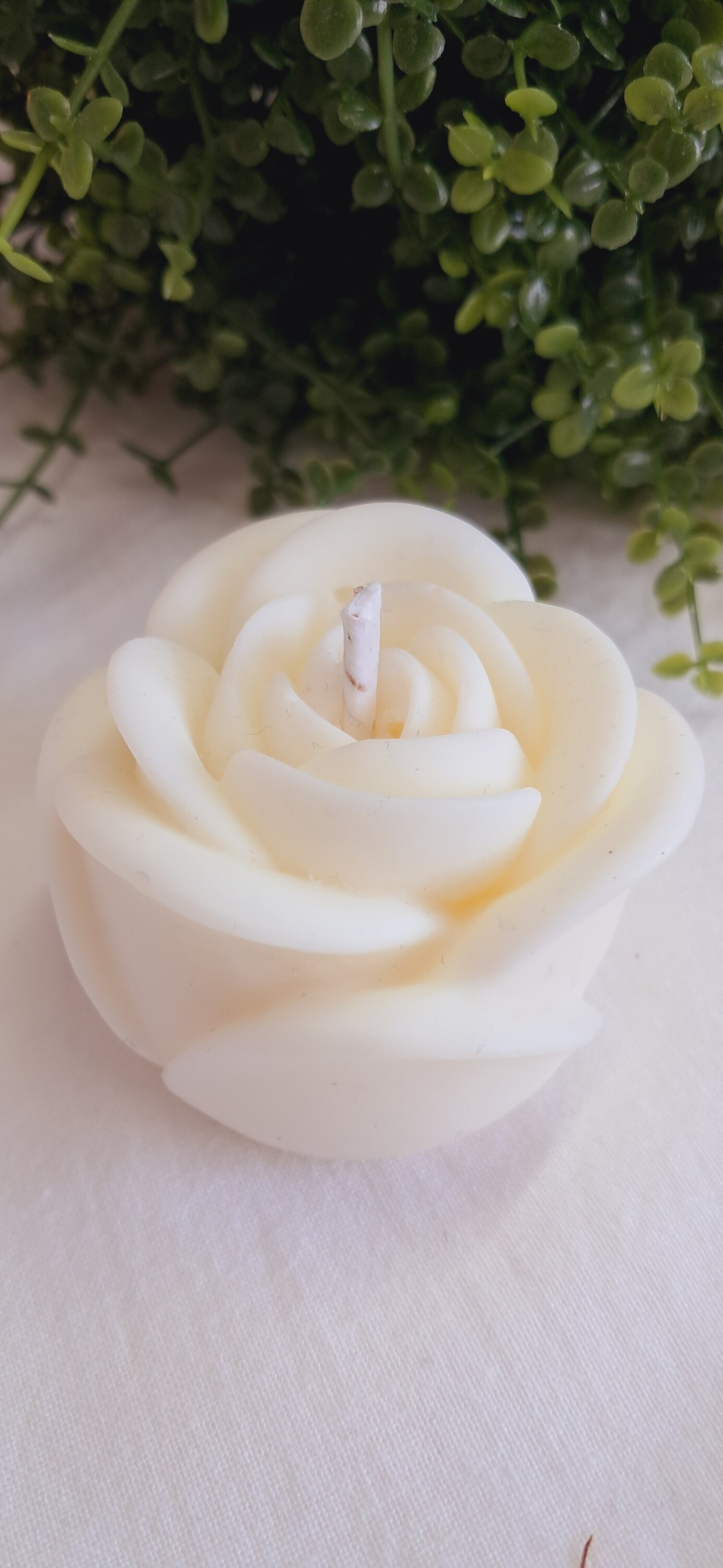 Vela ROSA - 2