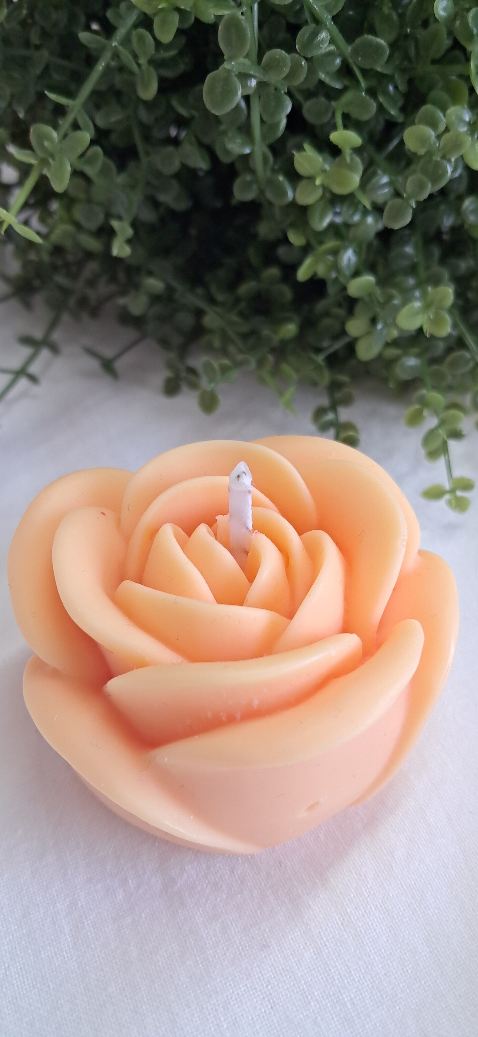 Vela ROSA - 3
