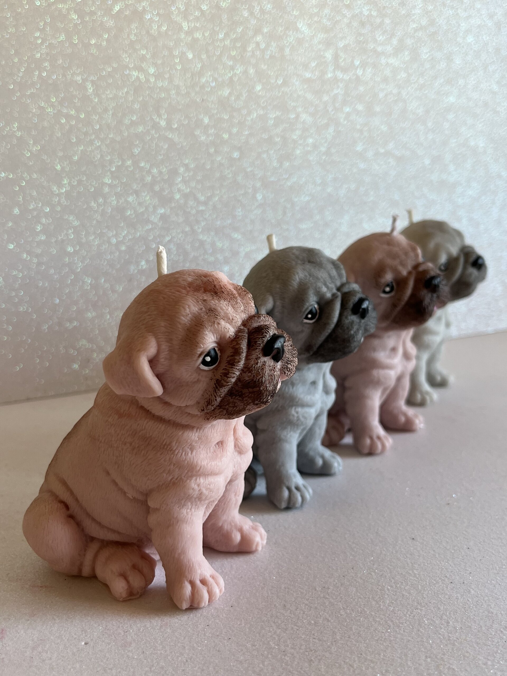 Vela perro Bulldog - 5