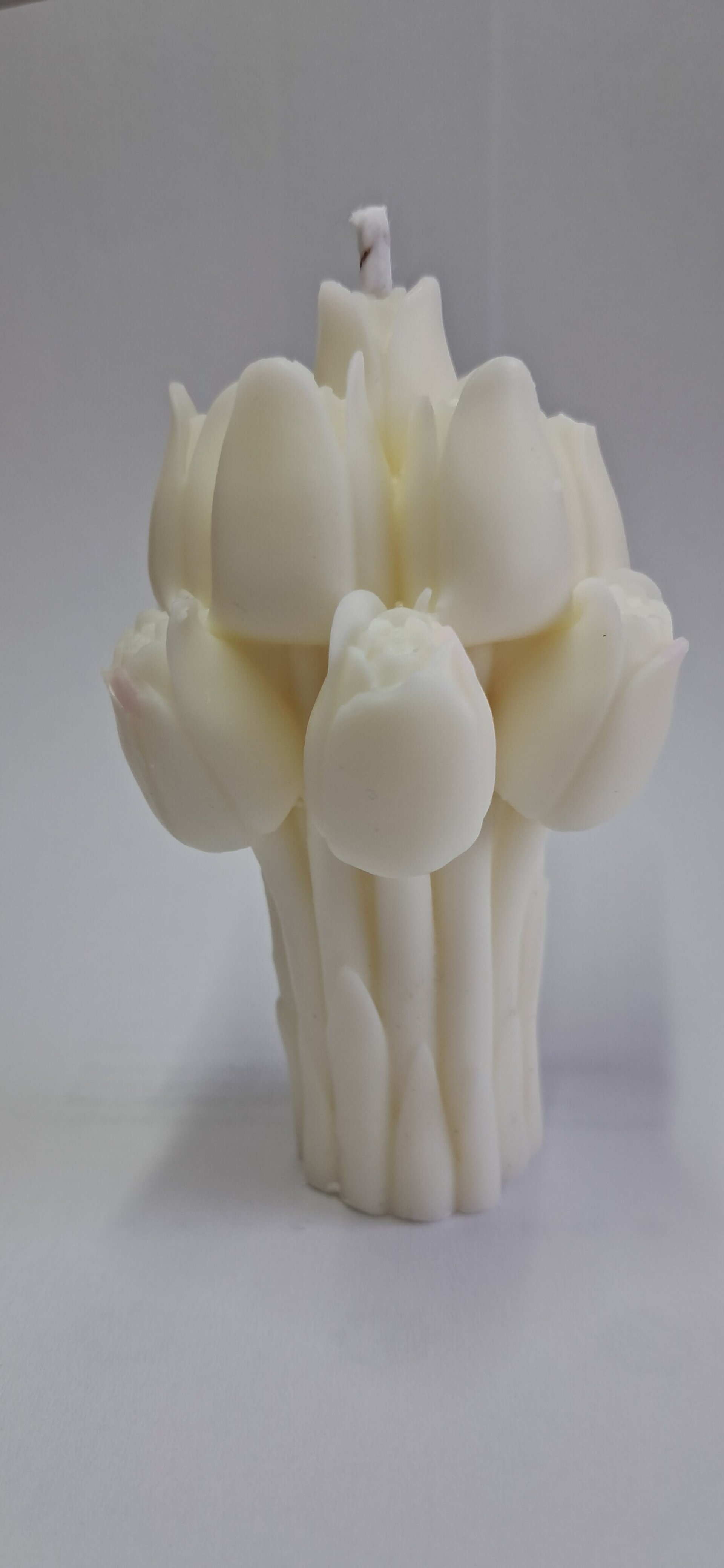 Vela RAMO - 6