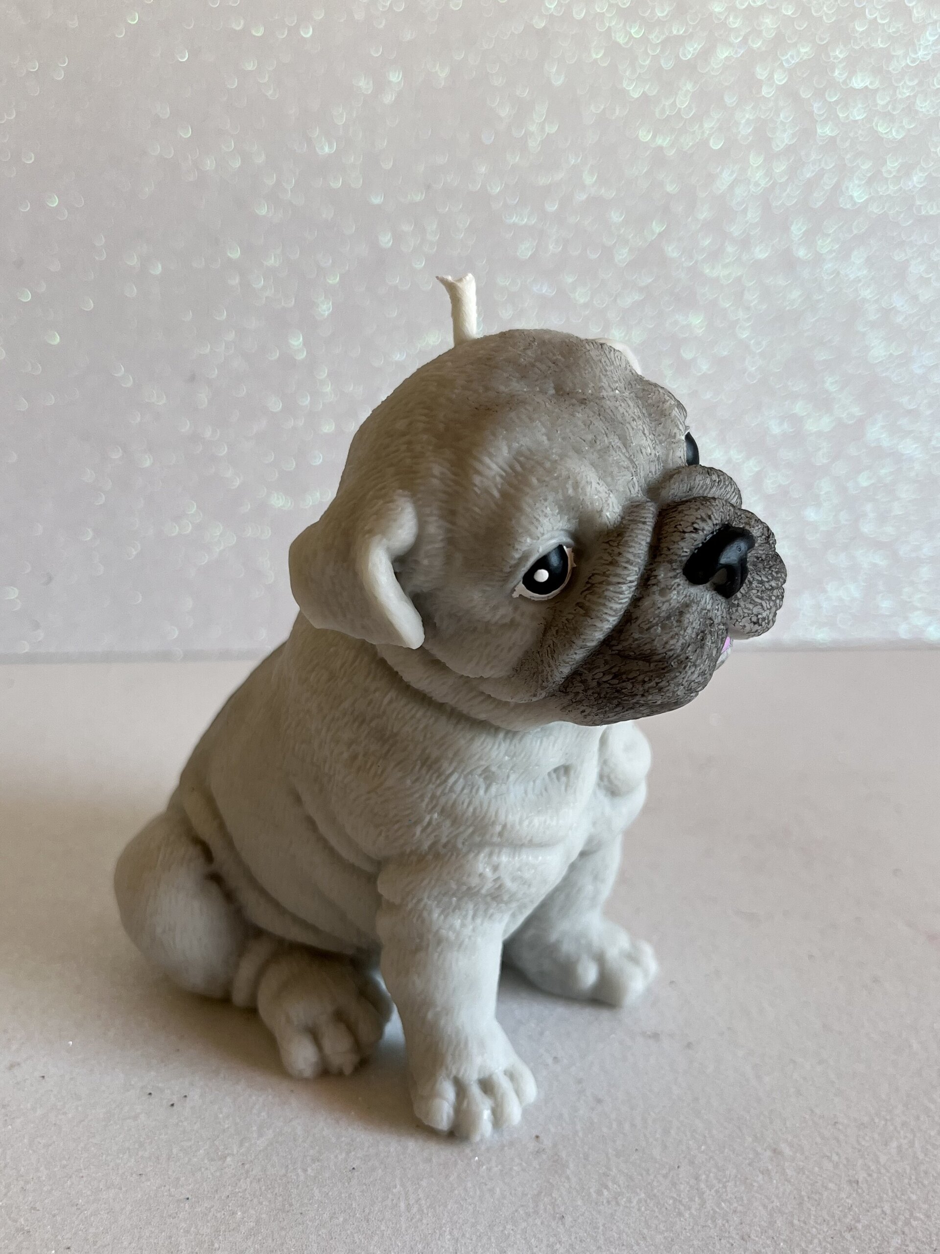 Vela perro Bulldog - 2