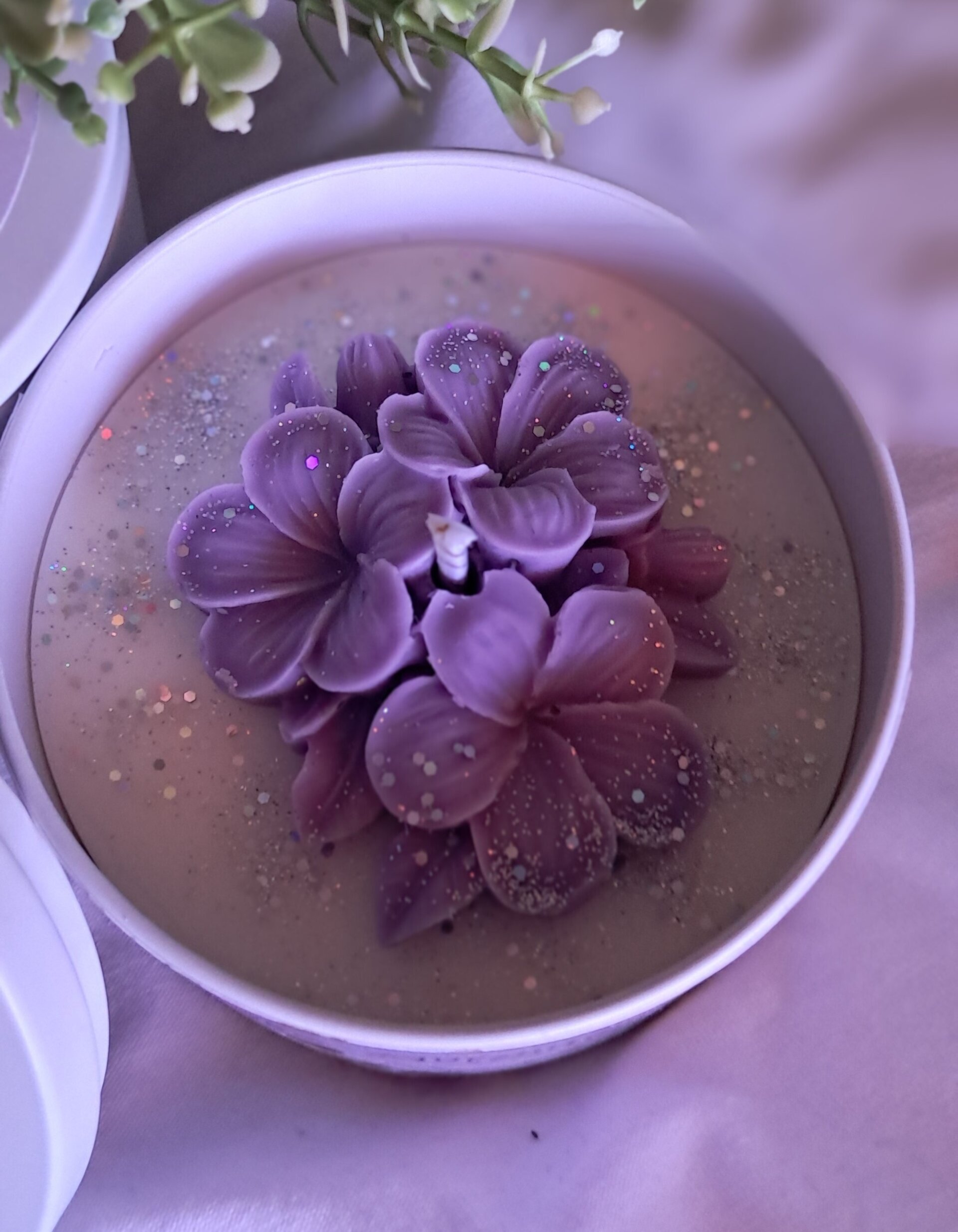 Entrevela literaria JANE AUSTEN - 2