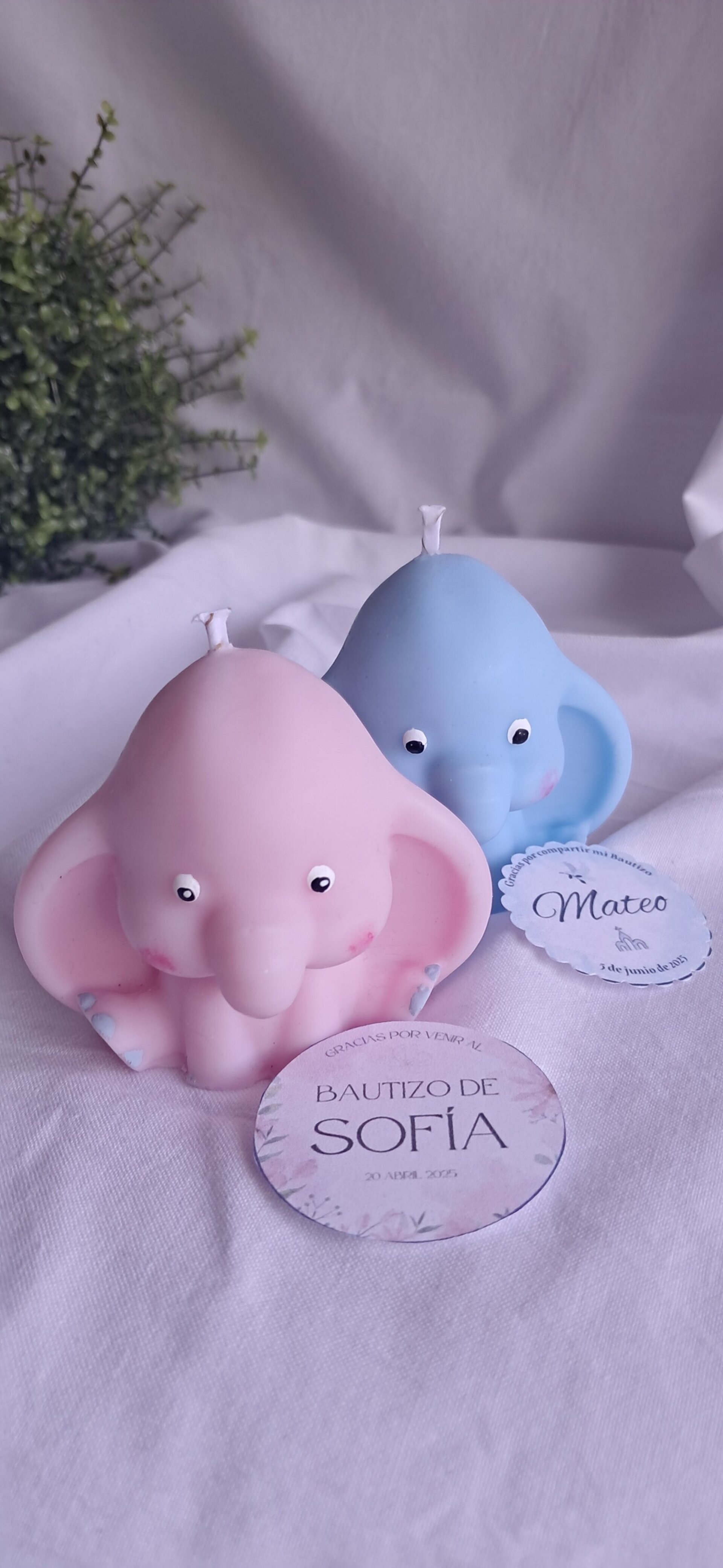 Vela ELEFANTE - 3