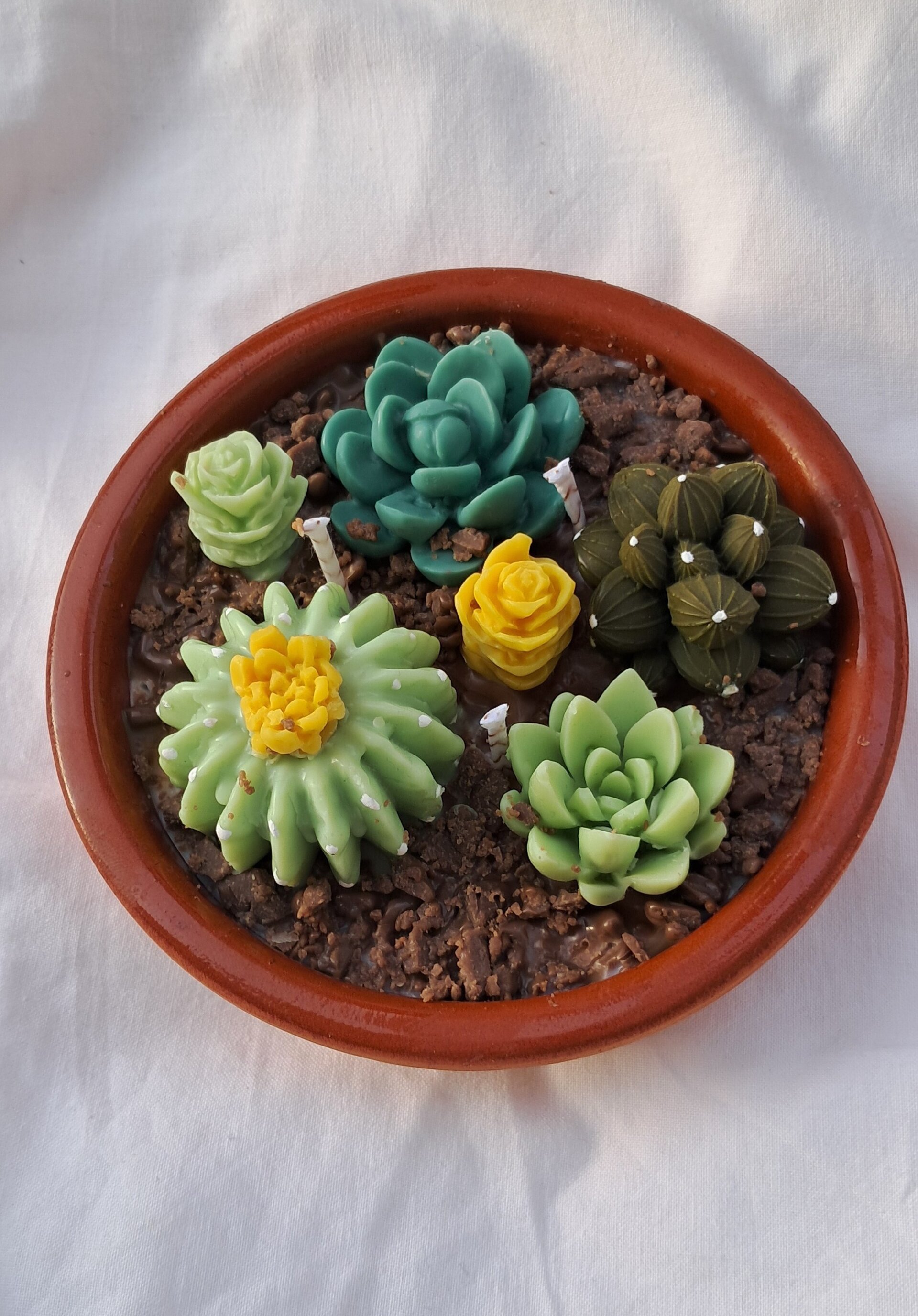 Vela TERRARIO - 3