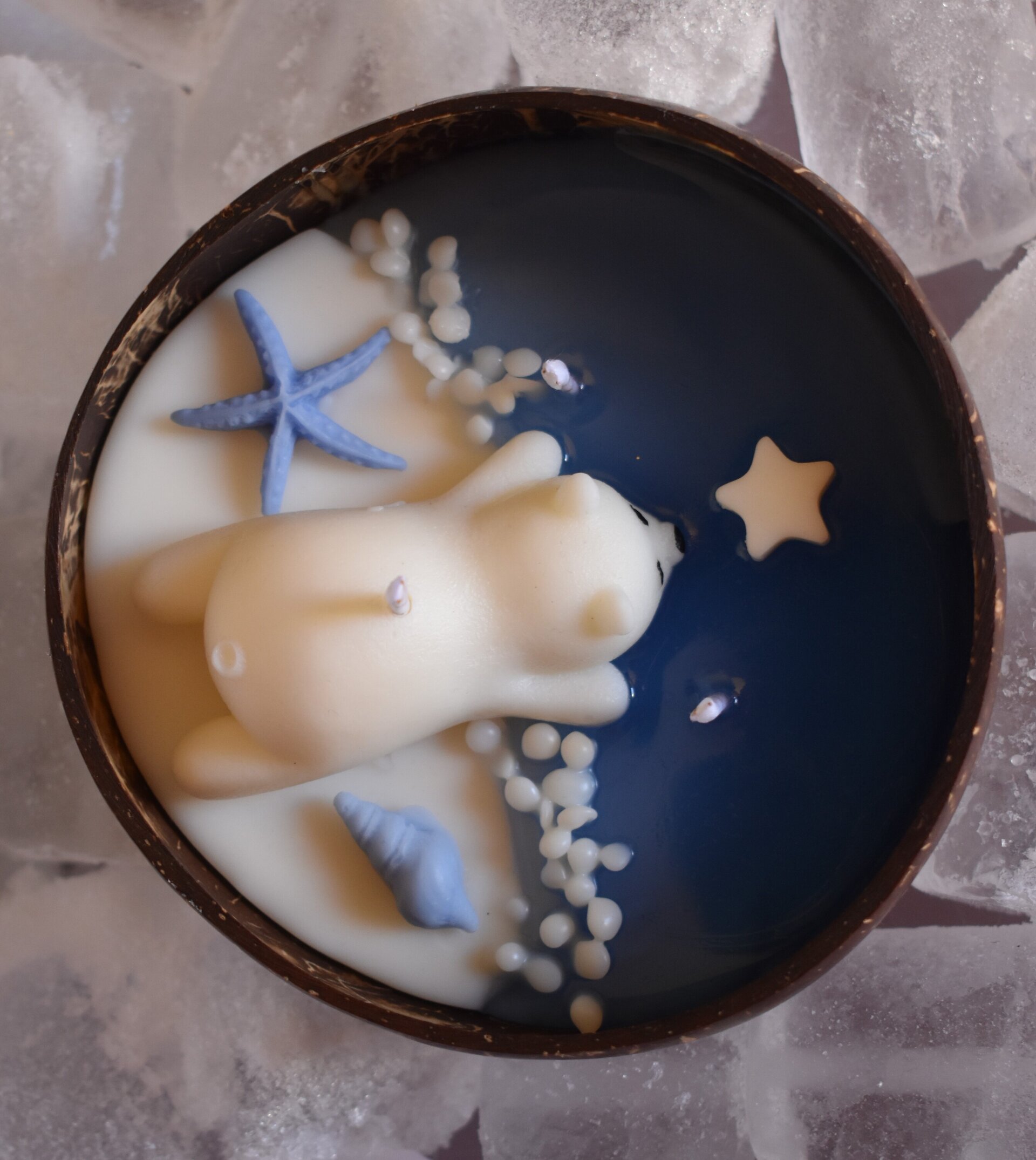 Cocoso y estrella - 2
