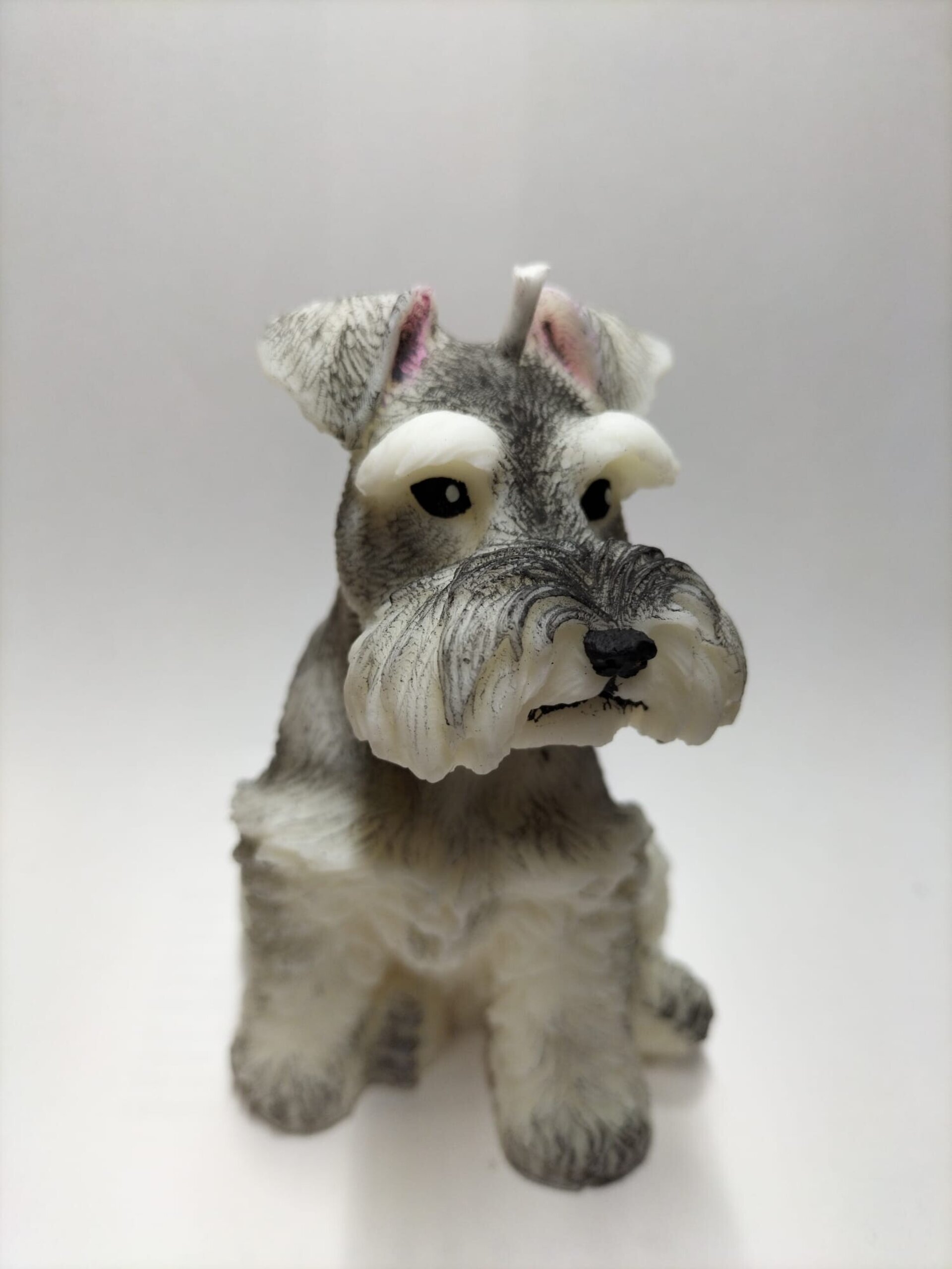 Vela perro SCHNAUZER - 2